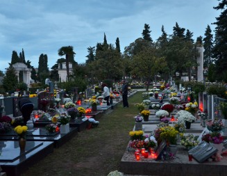 Gradska groblja najveći izvori komaraca