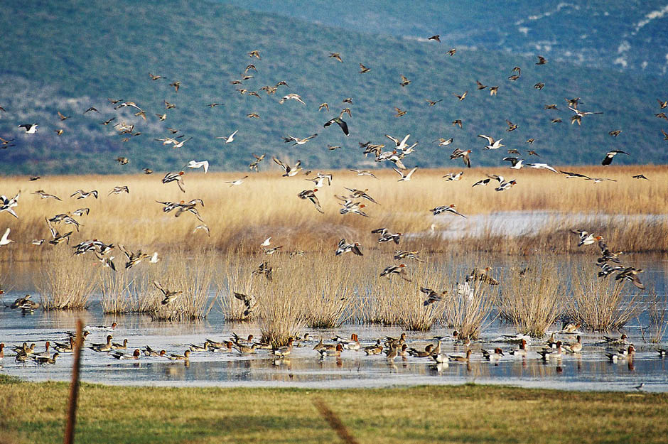 Vransko Jezero
