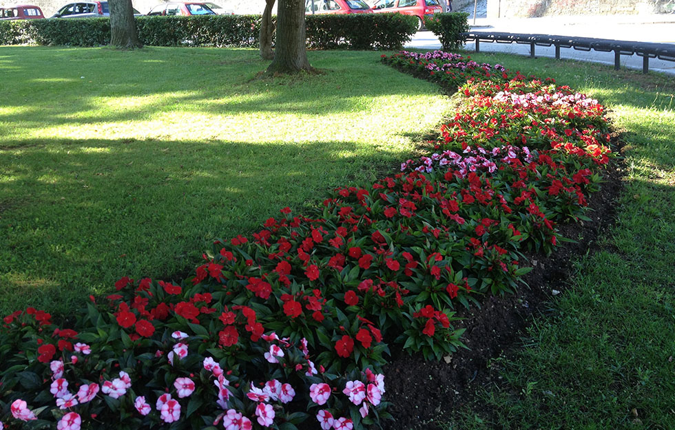 Cvijeće kod Tehničke škole