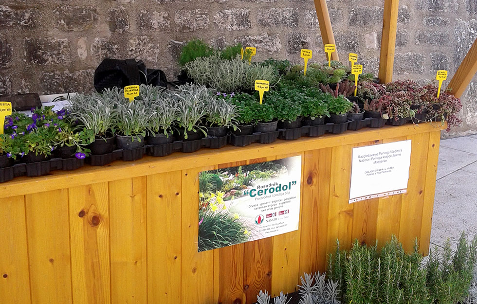 Prodaja cvijeća - Nasadi