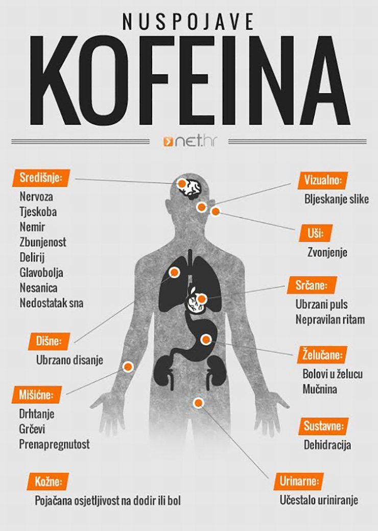 Infografika - kofein