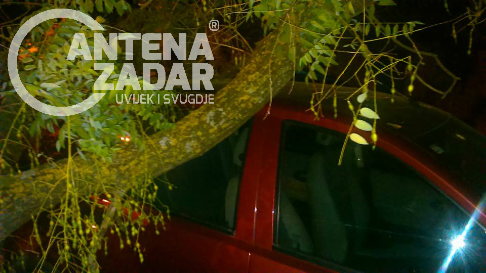 Stablo automobil Stjepana Radića