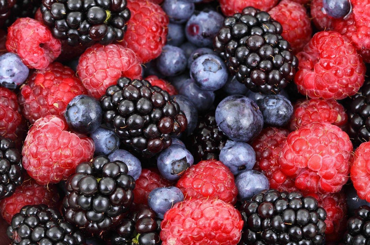 Voće, malina (Foto ZARAPIX : Pixabay)
