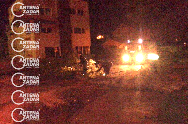 Puknuto stablo na Punti Bajlo