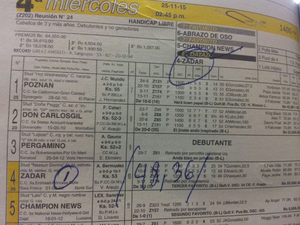 Konj Zadar, hipodrom, konjička utrka