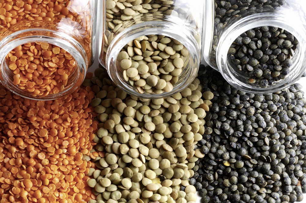 Leća, mahunarka, namirnica