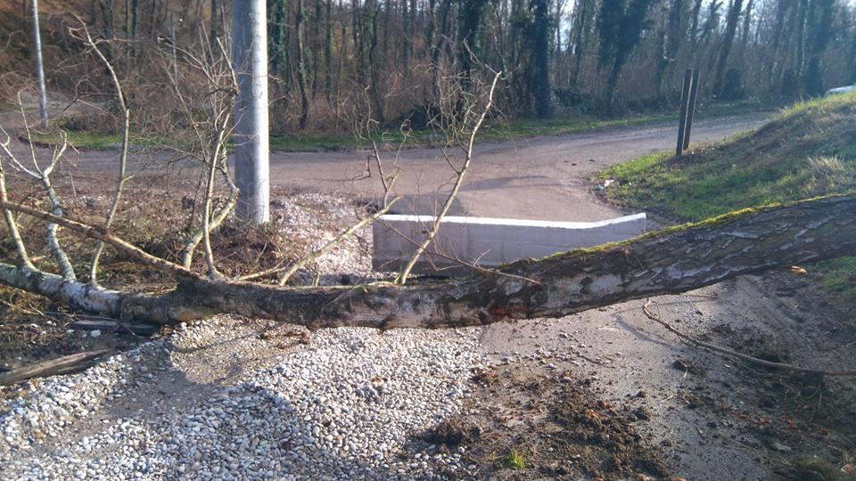 Balvan na stazi (Foto Udruga Fala)