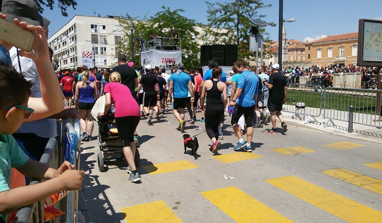 Wings for life start 2016 3 (1)