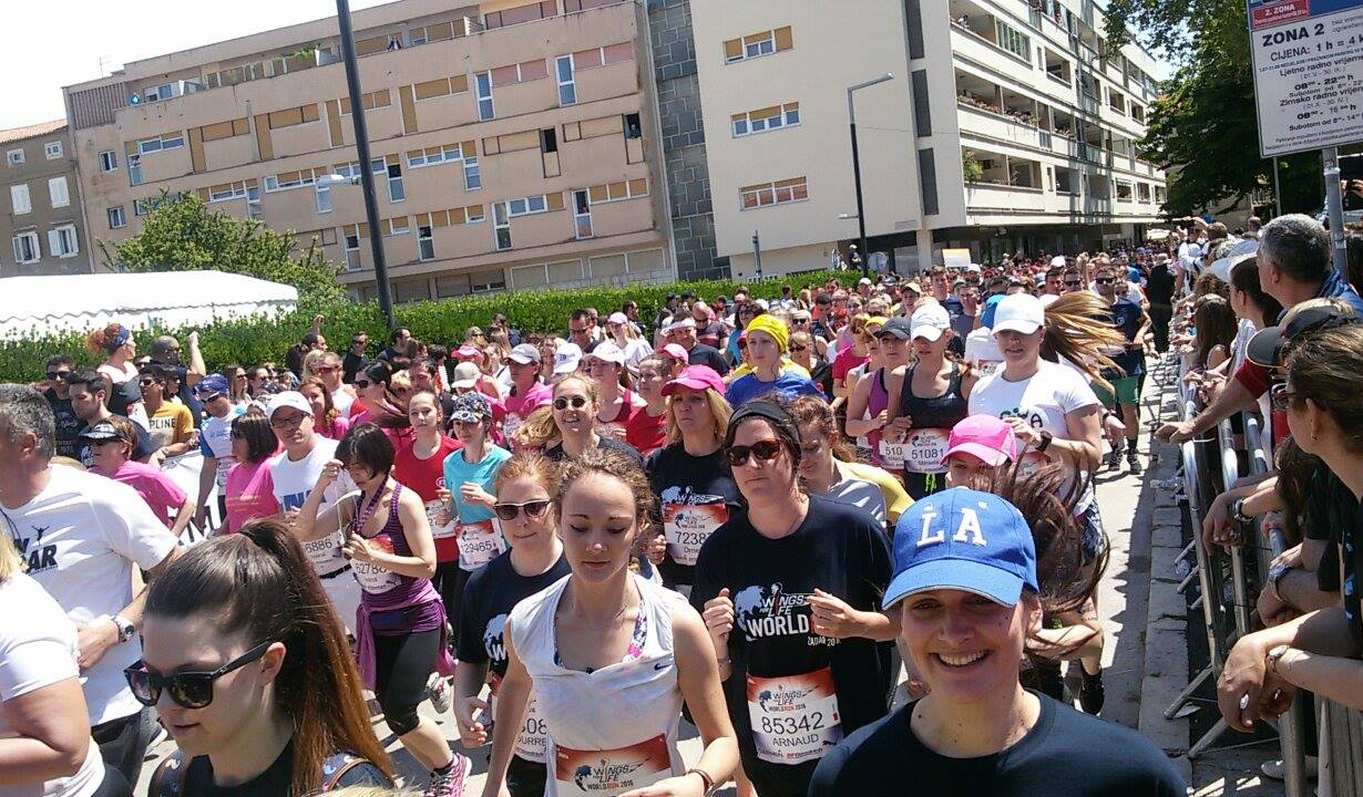 Wings for life start 2016
