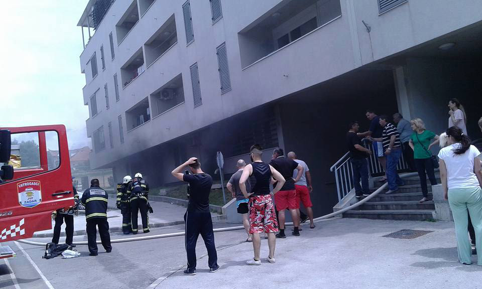 13451287_1219323071424638_1861050723_n