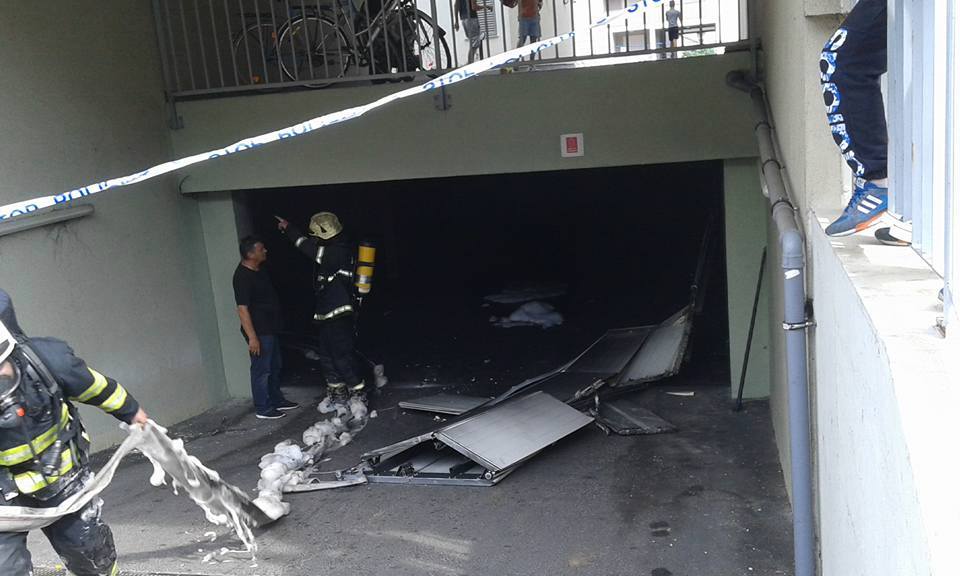 13454025_1219322961424649_874694484_n