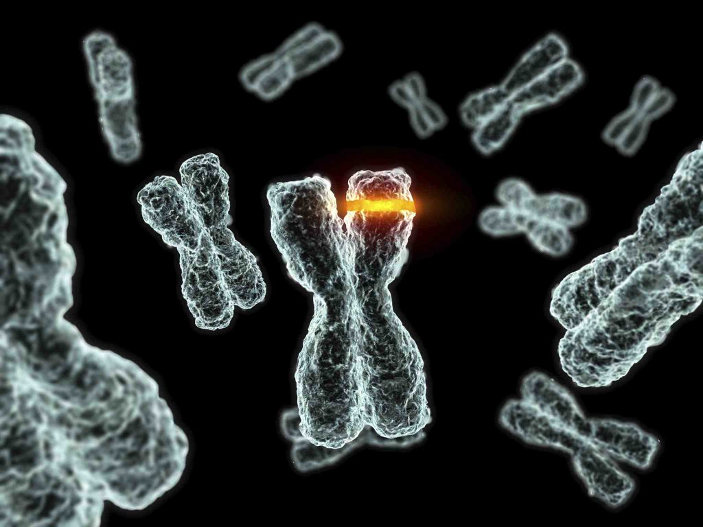 Geni, kromosomi, mutacije, DNA, DNK