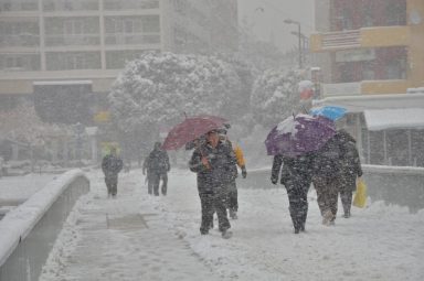 Snijeg u Zadru (Foto: Ivan Katalinić / Antena Zadar)