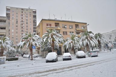 Snijeg u Zadru (Foto: Ivan Katalinić / Antena Zadar)