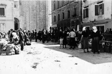 10286822_10203236536929764_6178365428288348545_o