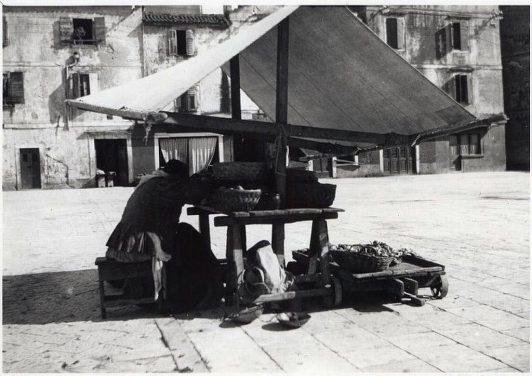 12031393_10207549945127098_5506791979588902283_o