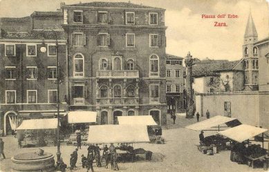 1948125_10203183705423784_750590205_n