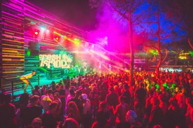 freshisland201559 copy