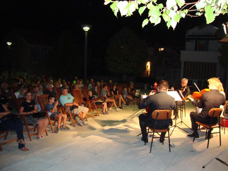 Gudački kvartet Cadenza (1)