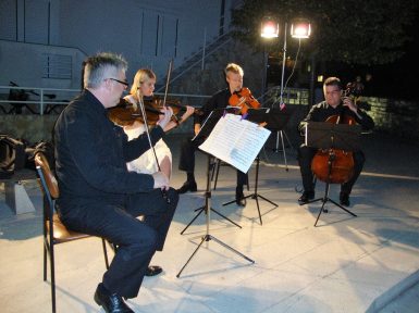 Gudački kvartet Cadenza (4)