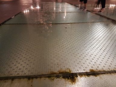 Trg Petra Zoranića staklo (2)