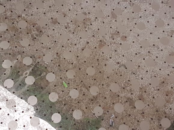 Trg Petra Zoranića staklo (7)