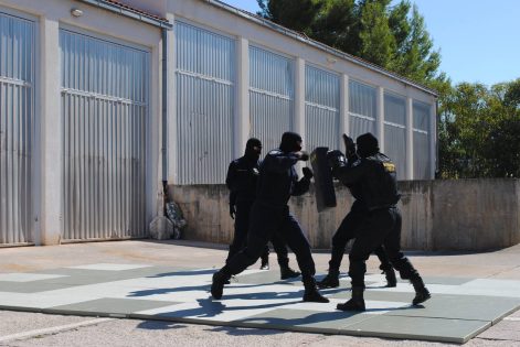 14424790_1117452645007995_1704259823413141780_o