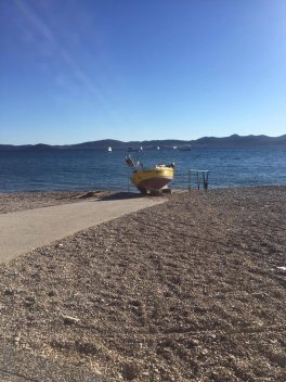 14550516_10209333423626739_1811131578_o