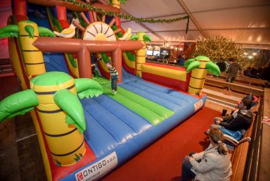 klizaliste-ledeni-park-2016-2