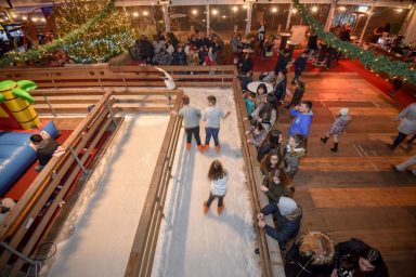 klizaliste-ledeni-park-2016-4