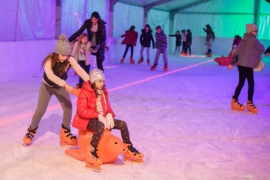 klizaliste-ledeni-park-2016-5