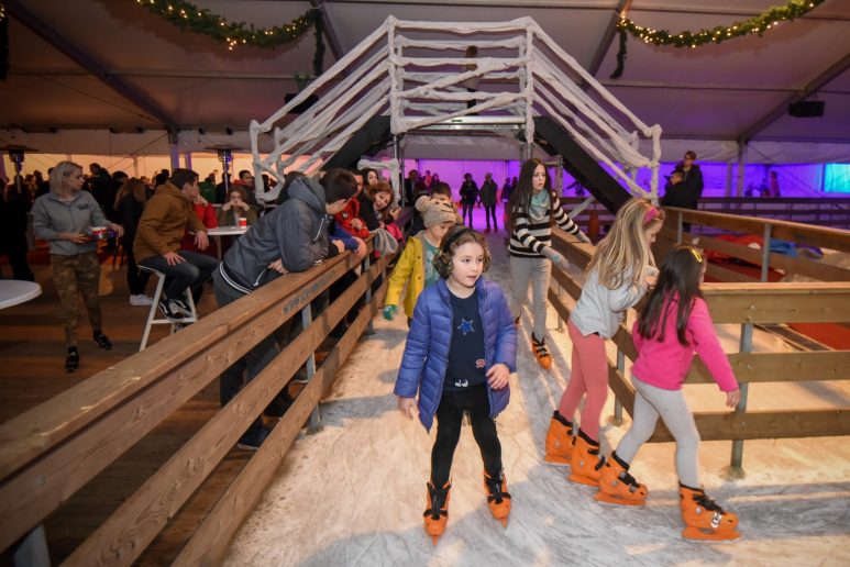 klizaliste-ledeni-park-2016-9