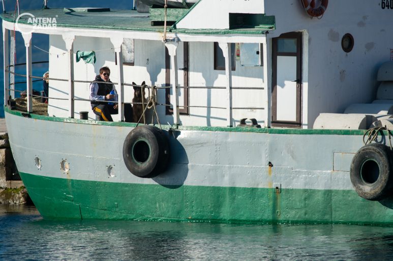 Ulicama moga grada 16122016 14