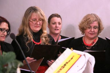 Klapski koncert na Viru 43