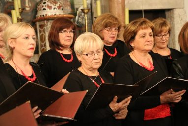 Klapski koncert na Viru 44