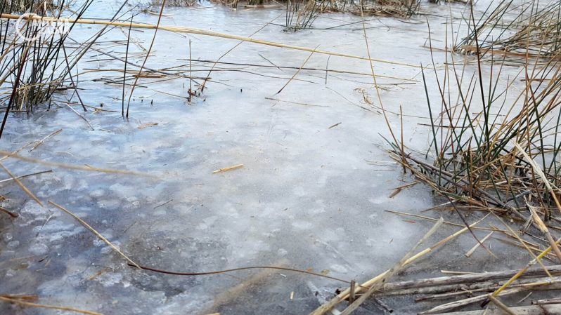 Zaledjena okolica Zadra (19 of 21)