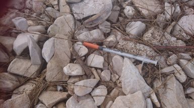 Sprica puntamika (1)