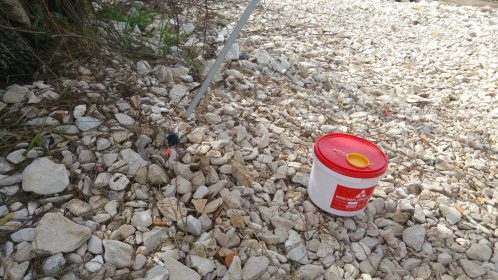 Udruga Porat ciscenje puntamike (2)