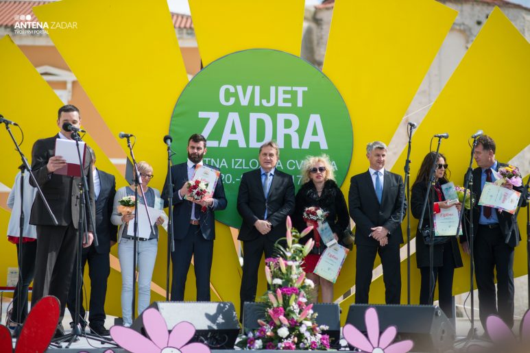 Cvijet zadra3
