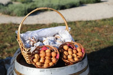 Kraljevski vonogradi