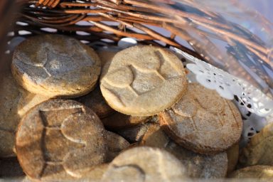 Kraljevski vonogradi