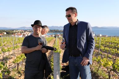 Kraljevski vonogradi