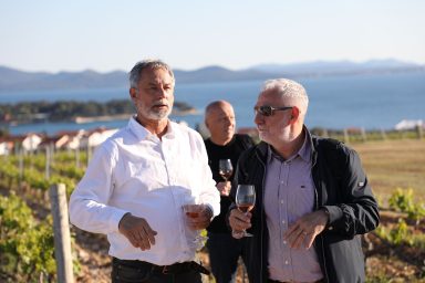 Kraljevski vonogradi