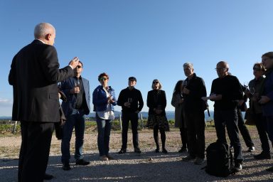 Kraljevski vonogradi