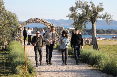 Kraljevski vonogradi