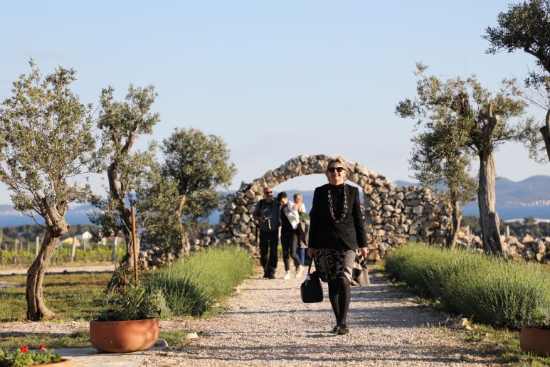 Kraljevski vonogradi