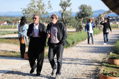 Kraljevski vonogradi