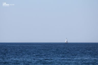 Ulicama moga grada 18.5. 35