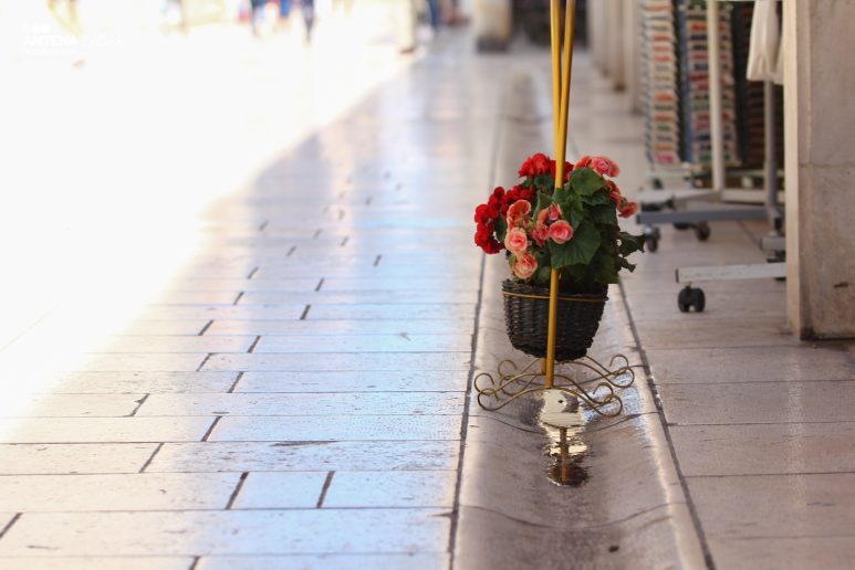 Ulicama moga grada 29.5. 23