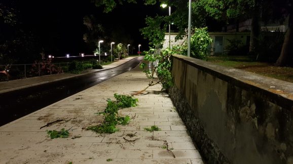 Steta od nevremena (1 of 8)